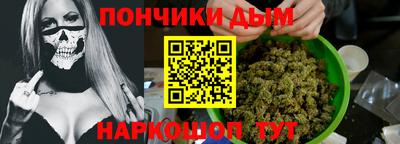 индика Беслан