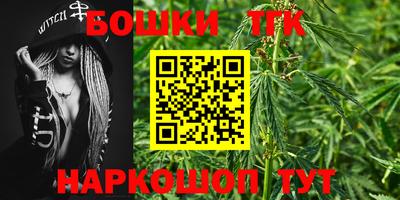 индика Беслан