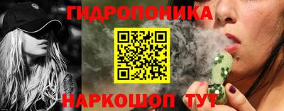 индика Беслан